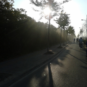 男同被三个男的双龙
